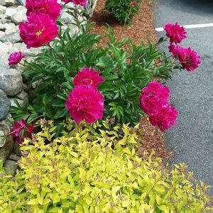 Meet your Posher, Stacey